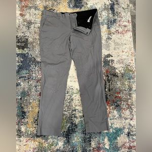 Express dress pant